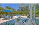 Backyard with a pool, patio with lounge chairs, table, umbrella, and palm trees at 2135 Hyde Park St, Sarasota, FL 34239