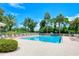 Large community swimming pool surrounded by lounge chairs, palm trees, and a fenced perimeter at 4208 Balmoral Way, Sarasota, FL 34238