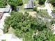 This aerial image displays the expansive greenery surrounding the property at 4209 W Woodlawn Ave, Tampa, FL 33614