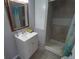 Cozy bathroom featuring a framed mirror, sink with storage, and a walk-in shower at 5118 Oakland Hills Ave, Sarasota, FL 34234