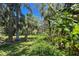 View of a lush backyard displaying an array of trees and greenery providing privacy at 157 Pinehurst Dr # 157, Bradenton, FL 34210
