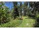 View of a lush backyard filled with dense foliage and tall trees, providing privacy and natural beauty at 157 Pinehurst Dr # 157, Bradenton, FL 34210