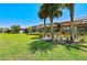 Lush backyard featuring tropical palm trees, manicured shrubs, and a screened lanai at 15707 Sacile Ln, Bradenton, FL 34211