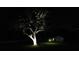 Night view of a home with a large tree in the yard at 3287 Rackley Rd, Brooksville, FL 34604