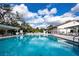 Large community swimming pool offering clear blue waters, chairs, and umbrella seating at 3333 26Th E Ave # 1104, Bradenton, FL 34208