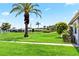 Grassy common area shows the building's exterior with a palm tree, green grass, sidewalk and manicured shrubs at 3649 Somerville Dr # 1507, Sarasota, FL 34232