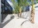 Landscaped backyard with palm trees and white gravel, offering a serene outdoor space at 430 Pheasant Way, Sarasota, FL 34236