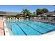 Large swimming pool with marked lanes, surrounded by lounge chairs and manicured landscaping at 4665 Pine Harrier Dr, Sarasota, FL 34231