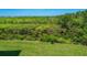 View of the home's backyard, featuring grass and natural Florida landscaping and privacy at 5420 Eagles Point Cir # 106, Sarasota, FL 34231