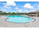Large community pool with clear water, surrounded by lounge chairs, umbrellas, and tropical landscaping at 7716 Uliva Way, Sarasota, FL 34238