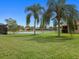 A well-maintained lawn with palm trees offers a tranquil view of the community pond at 8222 Haven Harbour Way, Bradenton, FL 34212