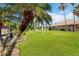 Lush green backyard lawn with mature palm trees and access to a scenic view of the pond at 8222 Haven Harbour Way, Bradenton, FL 34212