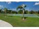 Outdoor community basketball court with two hoops, palm trees and well-maintained green space at 12358 Lavender Loop, Bradenton, FL 34212