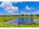 Scenic view of the pond surrounded by lush greenery under a bright, partly cloudy sky at 12644 20Th E St, Parrish, FL 34219