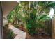 Charming backyard featuring lush tropical landscaping, a wooden fence, and a stone walkway at 1869 Springbush Ln, Clearwater, FL 33763