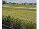 Backyard view featuring a lush lawn, distant community, and tropical trees at 24831 Buckingham Way, Port Charlotte, FL 33980