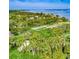 Beautiful aerial view of lush tropical landscaping near the open water at 3601 Riverview Blvd, Bradenton, FL 34205
