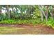 A wooded lot with ferns at 950 Trotter St, Nokomis, FL 34275