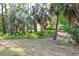 Mature wooded lot with trees and ferns at 950 Trotter St, Nokomis, FL 34275