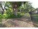 Side yard with mature trees at 950 Trotter St, Nokomis, FL 34275