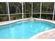 Beautiful screened-in pool surrounded by lush landscaping and brick pavers, offering a private oasis at 950 Trotter St, Nokomis, FL 34275