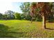 Expansive yard with a bench and mature trees at 950 Trotter St, Nokomis, FL 34275