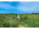 Path to the beach through tall grasses, enclosed by a rustic fence for added charm at 102 77Th St, Holmes Beach, FL 34217