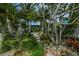 Tropical front yard with lush greenery, palm trees, and a glimpse of the house, creating a serene and inviting entrance at 102 77Th St, Holmes Beach, FL 34217