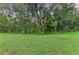 Lush green backyard with mature trees and natural beauty provides a serene and private outdoor space at 12175 Maple Ridge Dr, Parrish, FL 34219