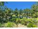 Serene pond surrounded by trees and natural vegetation, creating a peaceful waterfront ambiance at 135 Tall Trees Ct, Sarasota, FL 34232
