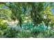 Scenic view of a pond framed by lush trees and greenery, providing a tranquil and natural setting at 135 Tall Trees Ct, Sarasota, FL 34232
