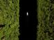 Dramatic aerial view of a sailboat moving on a river, lined by a dense green forest at 14065 Paris Ln, Port Charlotte, FL 33981