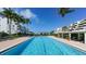Resort-style pool with lounge chairs and well-maintained landscaping at 1465 Gulf Of Mexico Dr # 502, Longboat Key, FL 34228
