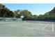 Well-maintained tennis court surrounded by lush greenery at 1465 Gulf Of Mexico Dr # 502, Longboat Key, FL 34228