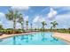 Community pool lined with cushioned lounge chairs, palm trees and manicured landscaping at 17122 Ranchside Pl, Bradenton, FL 34211
