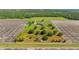 Aerial view of house and land with mature trees, landscaping, long driveway, and adjacent agricultural fields at 2350 Virgil Hall Rd, Lithia, FL 33547