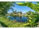 Calm pond reflecting nearby houses and greenery, surrounded by lush tropical vegetation under a clear blue sky at 3585 Brooklyn Ave, Port Charlotte, FL 33952