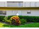 Exterior view of a building with green shrubbery, a white door, and bright windows on a sunny day at 3820 Ironwood Ln # 104-I, Bradenton, FL 34209