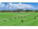 Beautiful view of a lush green golf course on a sunny day, ideal for golfing enthusiasts at 401 N Point Rd # 504, Osprey, FL 34229
