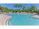 Large community pool with brick trim, lounge chairs and lush tropical landscaping offers resort style relaxation at 5044 Creekside Trl, Sarasota, FL 34243