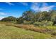 Scenic backyard view features lush greenery and mature trees in a natural setting at 5213 Patano Loop, Palmetto, FL 34221