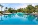 A sparkling community swimming pool surrounded by tropical landscaping and lounge chairs at 5880 Midnight Pass Rd # 207, Sarasota, FL 34242