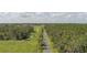 Scenic aerial shot captures a long driveway leading to a private and secluded property at 7251 Fish Farm Rd, Palmetto, FL 34221