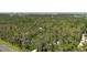 Wide aerial view showcasing a home nestled within a dense forest landscape at 7251 Fish Farm Rd, Palmetto, FL 34221