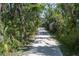 Long gravel driveway leading to various outbuildings and sheds providing ample storage space at 7251 Fish Farm Rd, Palmetto, FL 34221