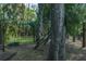 The yard is shaded with a hammock and a pond for ducks at 7251 Fish Farm Rd, Palmetto, FL 34221