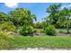 Lush backyard with healthy green grass, bushes, trees, and a partial view of the home at 7321 Hemlock Ln, Sarasota, FL 34241