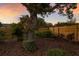Secluded backyard with lush greenery and a view of the beautiful sunset at 7404 13Th Avenue W Dr, Bradenton, FL 34209