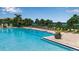 Large community pool with plenty of lounge chairs and tropical landscaping overlooking the water at 932 Mangrove Edge Ct, Bradenton, FL 34208