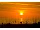 Sunset over the ocean with silhouettes of people and tall grass in the foreground at 110 Vista Hermosa Cir # 302B, Sarasota, FL 34242